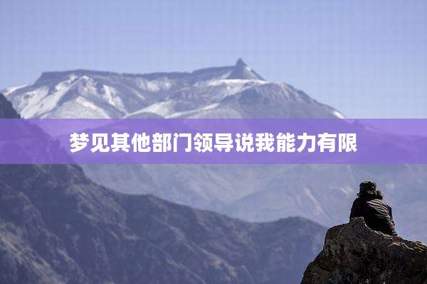 梦见其他部门领导说我能力有限