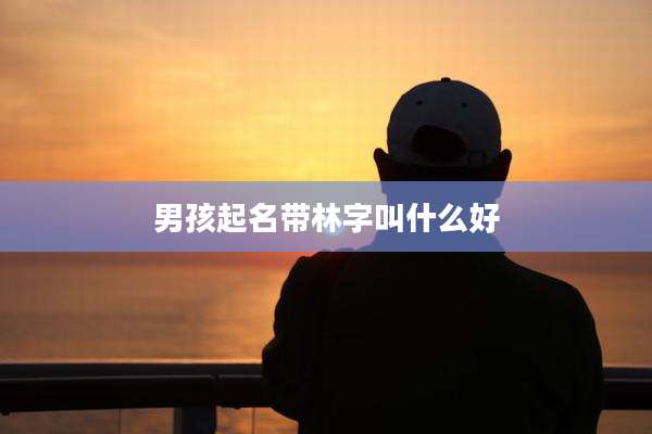 男孩起名带林字叫什么好