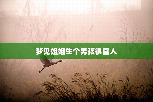 梦见姐姐生个男孩很喜人