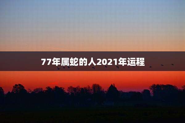 77年属蛇的人2021年运程