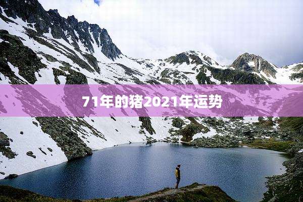 71年的猪2021年运势