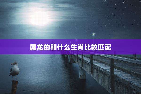 属龙的和什么生肖比较匹配