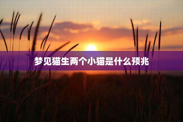 梦见猫生两个小猫是什么预兆