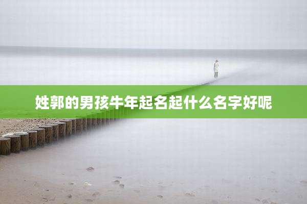 姓郭的男孩牛年起名起什么名字好呢