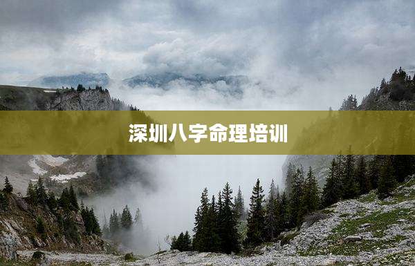深圳八字命理培训