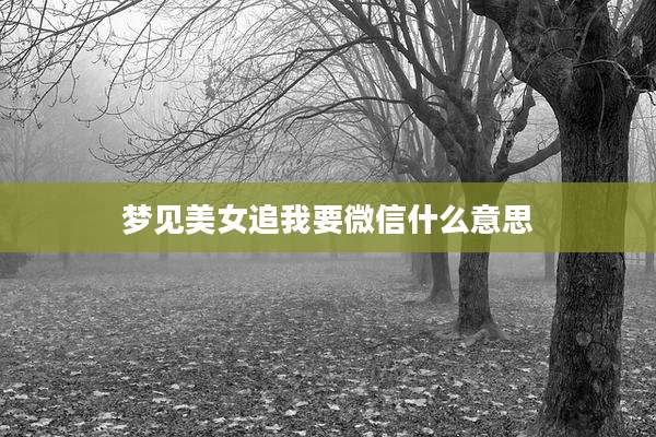 梦见美女追我要微信什么意思