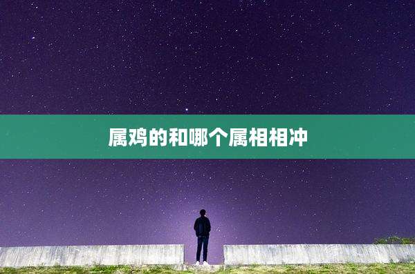 属鸡的和哪个属相相冲