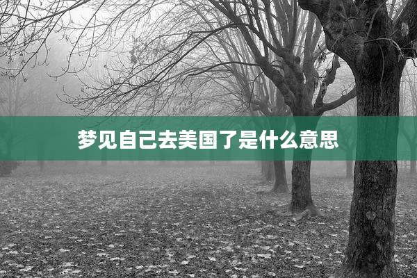 梦见自己去美国了是什么意思