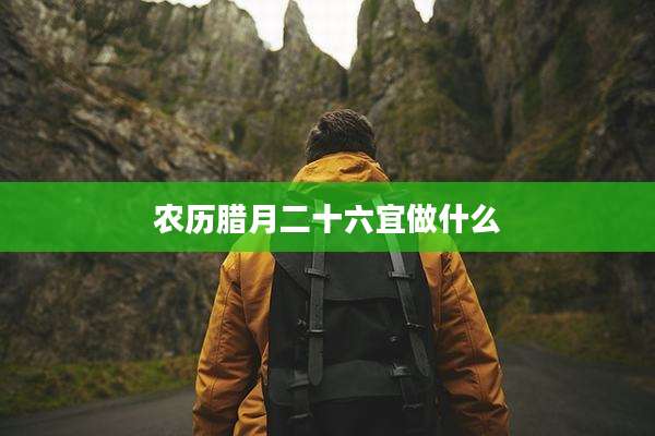 农历腊月二十六宜做什么