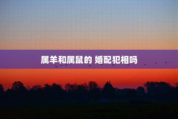 属羊和属鼠的 婚配犯相吗