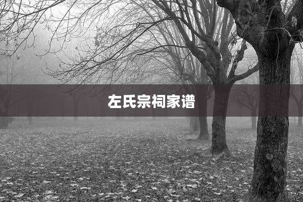 左氏宗祠家谱