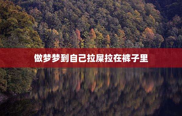 做梦梦到自己拉屎拉在裤子里