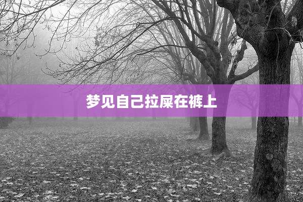 梦见自己拉屎在裤上