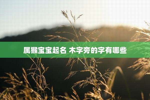 属猴宝宝起名 木字旁的字有哪些