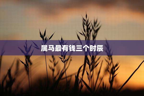 属马最有钱三个时辰