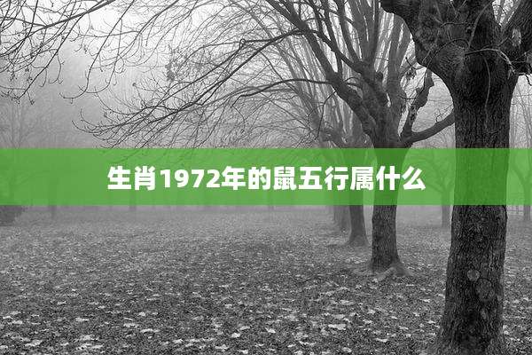 生肖1972年的鼠五行属什么