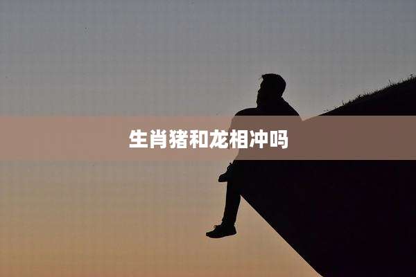 生肖猪和龙相冲吗