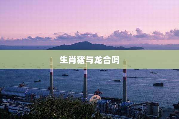 生肖猪与龙合吗