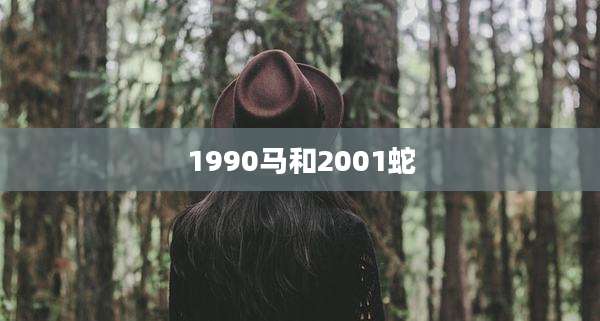 1990马和2001蛇