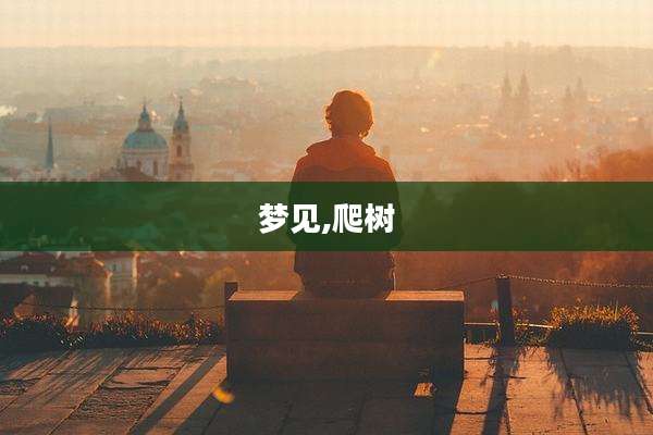 梦见,爬树