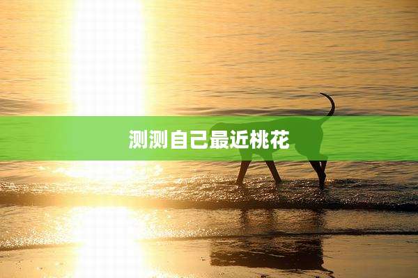 测测自己最近桃花