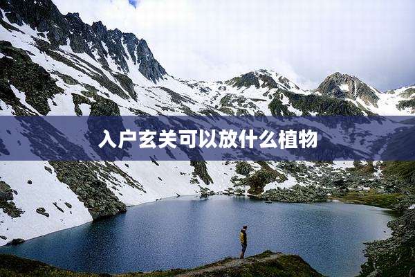 入户玄关可以放什么植物
