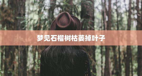 梦见石榴树枯萎掉叶子