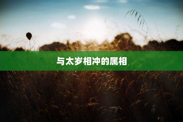 与太岁相冲的属相