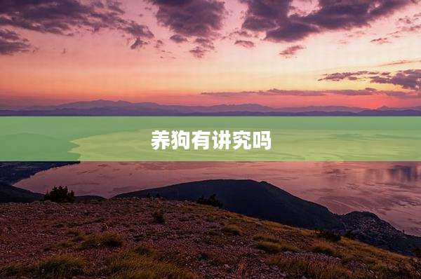 养狗有讲究吗