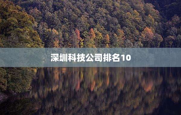 深圳科技公司排名10