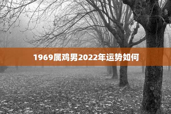 1969属鸡男2022年运势如何