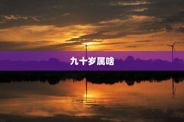 九十岁属啥
