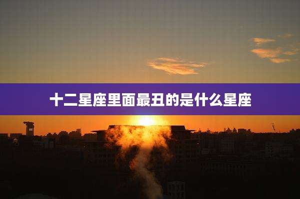 十二星座里面最丑的是什么星座