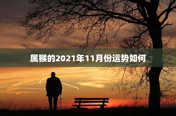 属猴的2021年11月份运势如何
