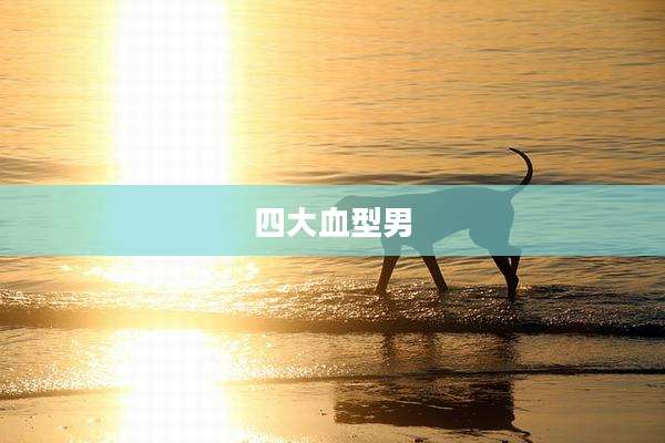 四大血型男
