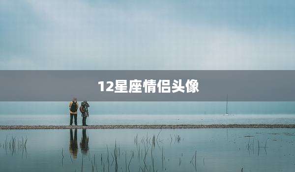 12星座情侣头像