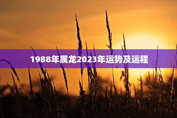 1988年属龙2023年运势及运程