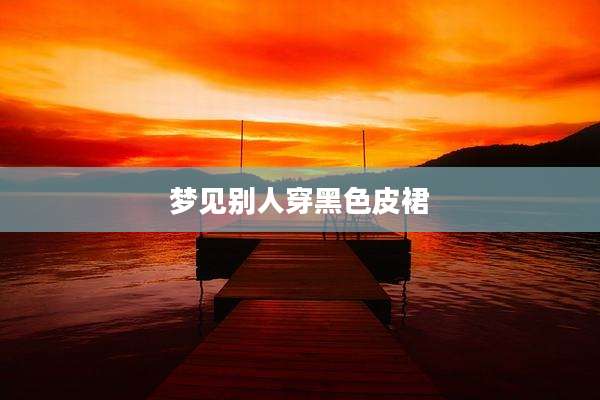 梦见别人穿黑色皮裙