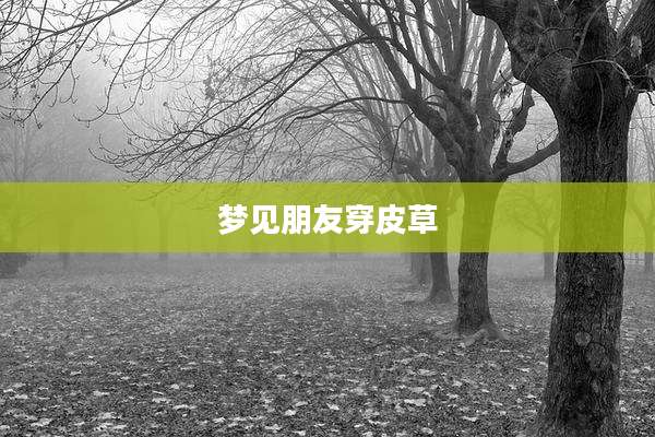 梦见朋友穿皮草
