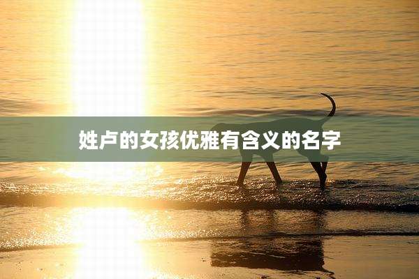 姓卢的女孩优雅有含义的名字