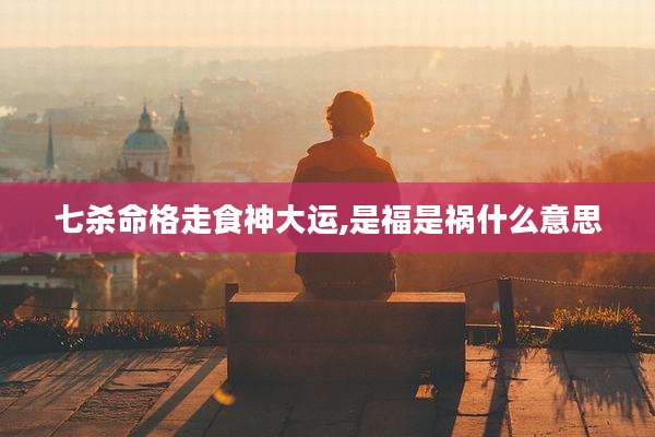 七杀命格走食神大运,是福是祸什么意思