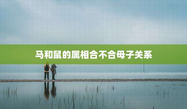 马和鼠的属相合不合母子关系