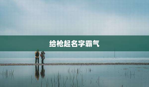 给枪起名字霸气