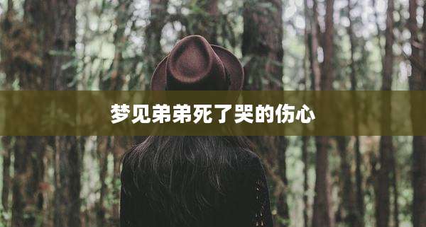梦见弟弟死了哭的伤心