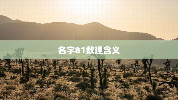 名字81数理含义