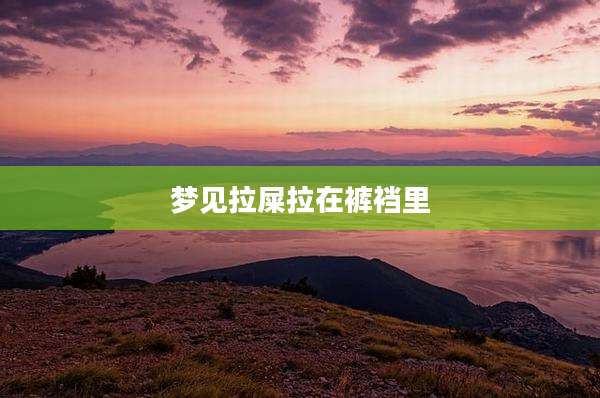 梦见拉屎拉在裤裆里