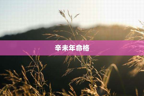 辛未年命格