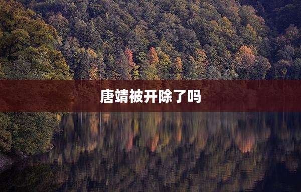 唐靖被开除了吗