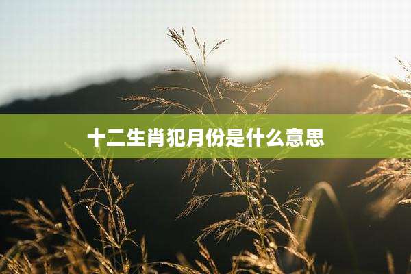 十二生肖犯月份是什么意思