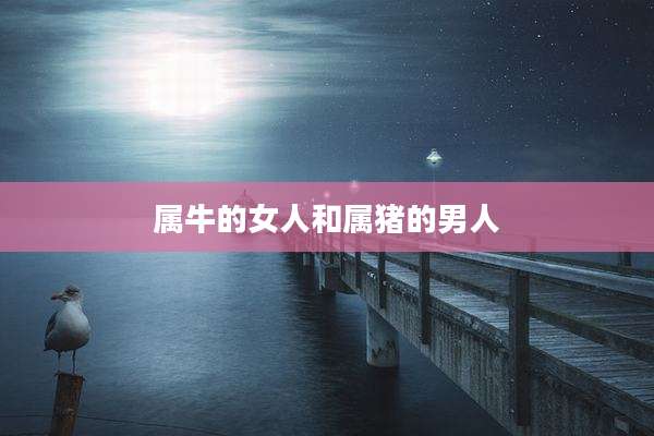 属牛的女人和属猪的男人